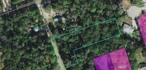 X Jasper Thomas Road, Crawfordville, FL 32327