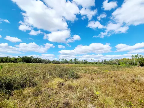 5651 Freeman Rd, Perry, FL 32348