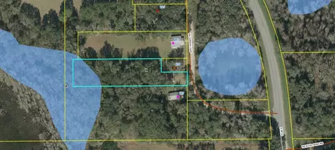 167 NW Darwin Loop, Madison, FL 32340 photo 1