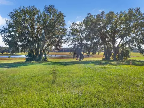 Vacant NW Willie Deas Road, Madison, FL 32340