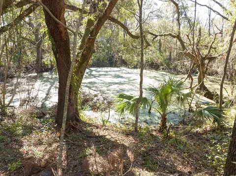 View/Area - 1419 E Green St, Perry, FL 32347 photo 3 of 5