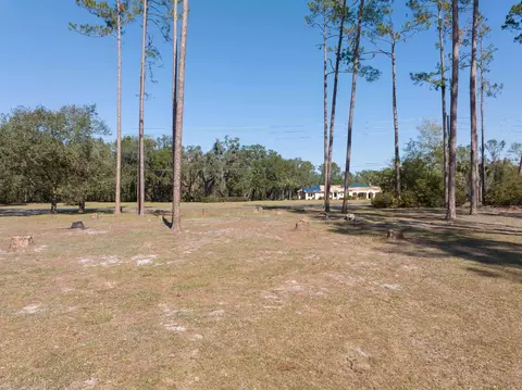 View/Area - 1419 E Green St, Perry, FL 32347 photo 5 of 5