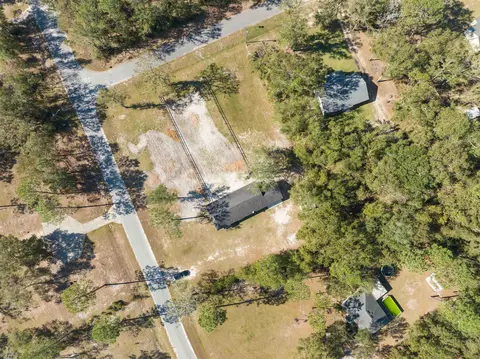 View/Area - 231 NE Green Tree Ter, Lee, FL 32059 photo 2 of 3