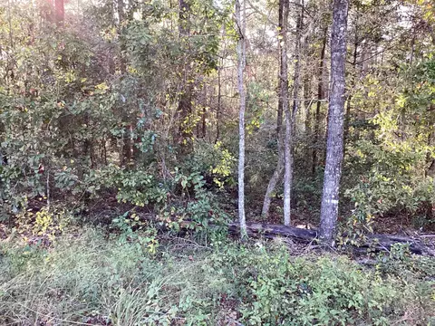 Carney Road, Monticello, FL 32344