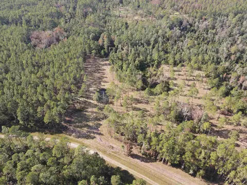 000 SW Pacific Dr, Greenville, FL 32331