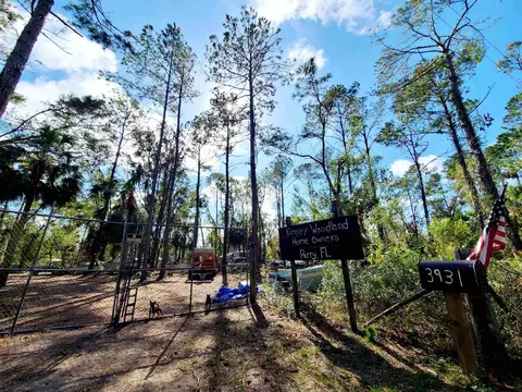 3931 Dove Ln, Perry, FL 32348 photo 32