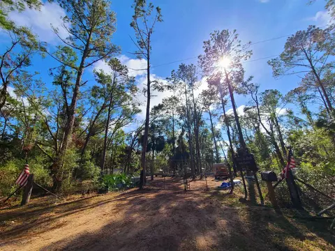 3931 Dove Ln, Perry, FL 32348 photo 33