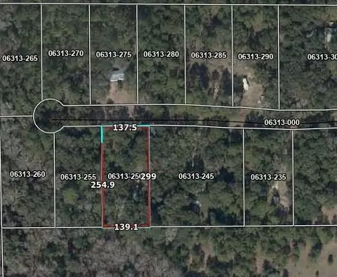 3931 Dove Ln, Perry, FL 32348 photo 37