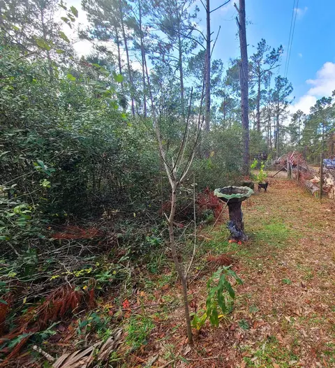 3931 Dove Ln, Perry, FL 32348 photo 20