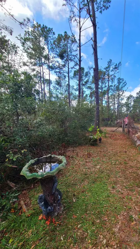 3931 Dove Ln, Perry, FL 32348 photo 22
