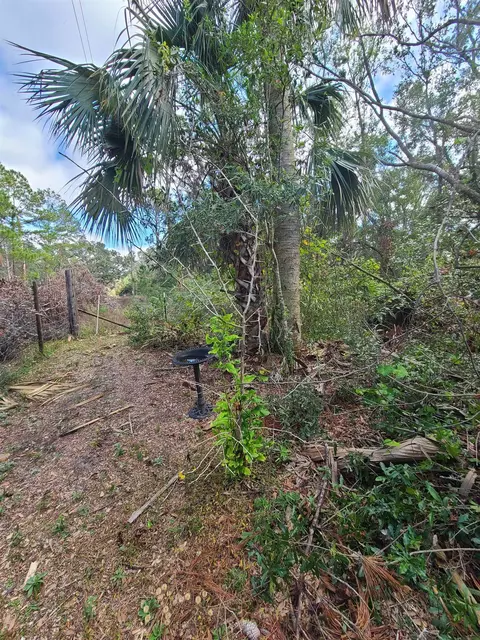 3931 Dove Ln, Perry, FL 32348 photo 21