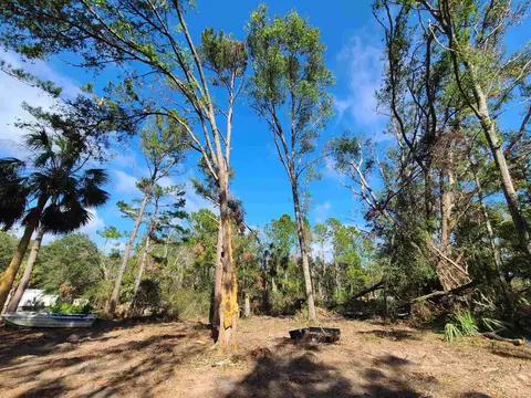 3931 Dove Ln, Perry, FL 32348 photo 30