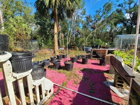 3931 Dove Ln, Perry, FL 32348 photo 14