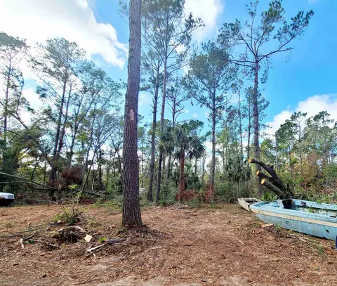 3931 Dove Ln, Perry, FL 32348 photo 23