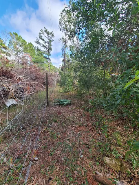 3931 Dove Ln, Perry, FL 32348 photo 12