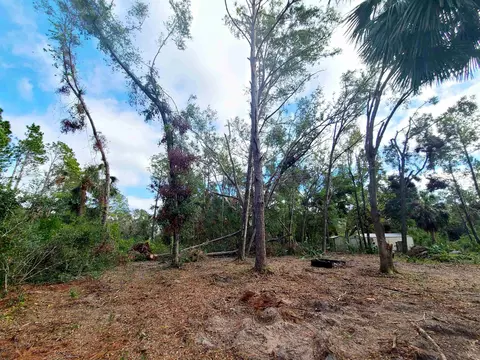 3931 Dove Ln, Perry, FL 32348 photo 10