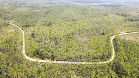 Tract 79 Circle Block Loop, Perry, FL 32348 photo 30