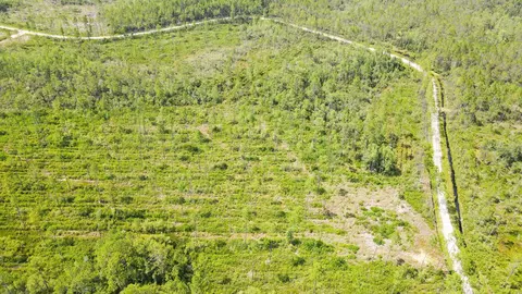Tract 79 Circle Block Loop, Perry, FL 32348 photo 32