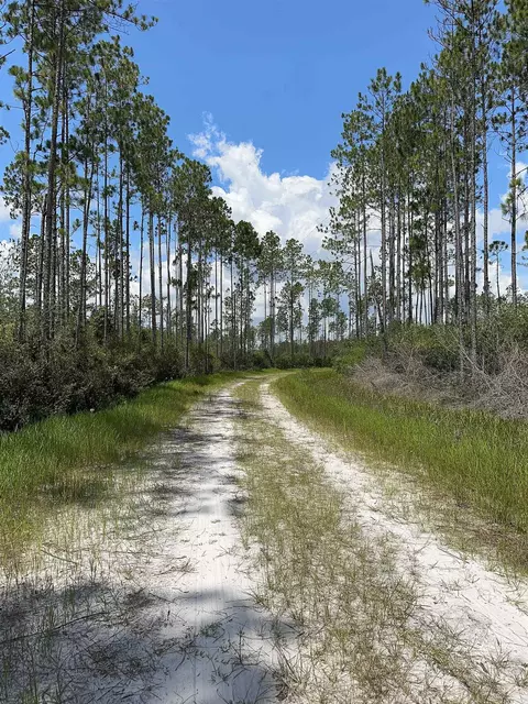 Tract 79 Circle Block Loop, Perry, FL 32348 photo 13