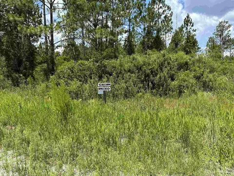 Tract 79 Circle Block Loop, Perry, FL 32348 photo 25