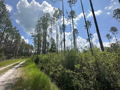 Tract 79 Circle Block Loop, Perry, FL 32348 photo 18