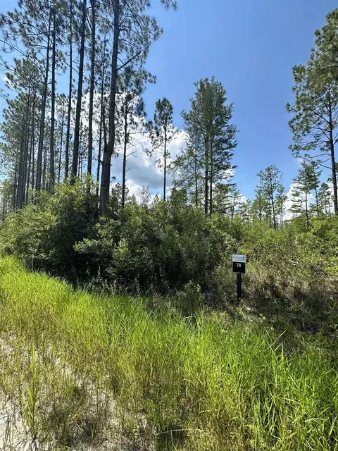 Tract 79 Circle Block Loop, Perry, FL 32348 photo 24
