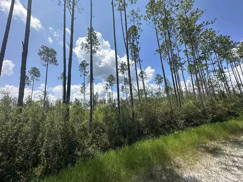 Tract 79 Circle Block Loop, Perry, FL 32348 photo 16