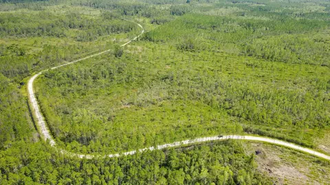 Tract 79 Circle Block Loop, Perry, FL 32348 photo 27