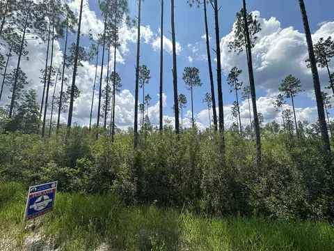 Tract 79 Circle Block Loop, Perry, FL 32348 photo 17