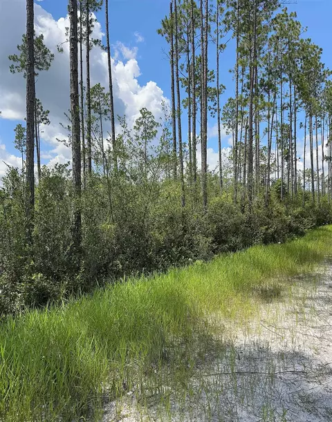 Tract 79 Circle Block Loop, Perry, FL 32348 photo 12