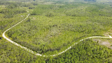 Tract 79 Circle Block Loop, Perry, FL 32348 photo 29