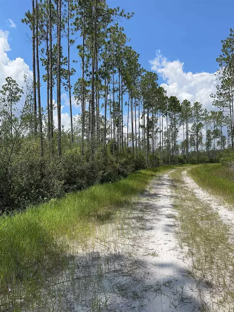 Tract 79 Circle Block Loop, Perry, FL 32348