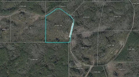 Tract 79 Circle Block Loop, Perry, FL 32348 photo 5