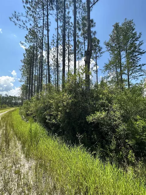 Tract 79 Circle Block Loop, Perry, FL 32348 photo 23