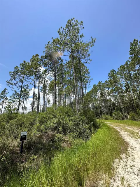 Tract 79 Circle Block Loop, Perry, FL 32348 photo 22