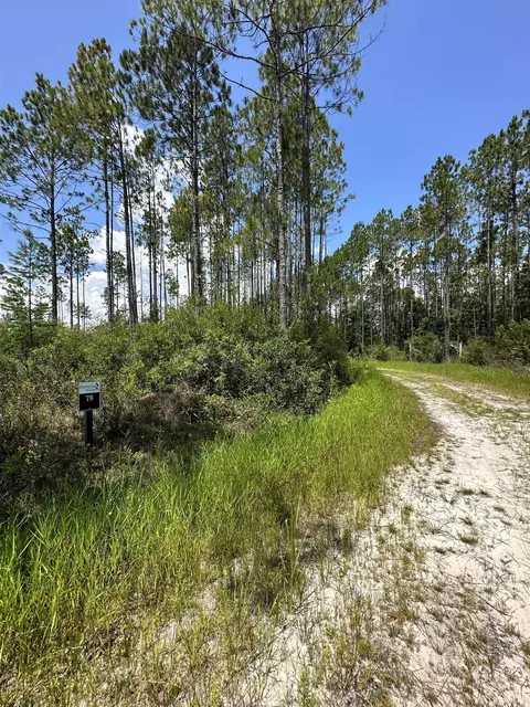 Tract 79 Circle Block Loop, Perry, FL 32348 photo 21