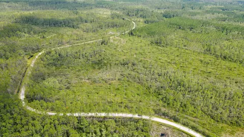 Tract 79 Circle Block Loop, Perry, FL 32348 photo 26