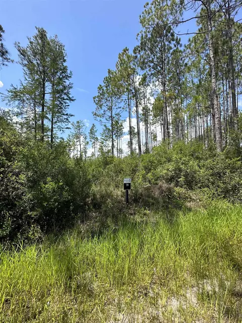 Tract 79 Circle Block Loop, Perry, FL 32348 photo 20