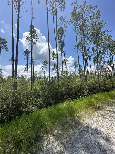 Tract 79 Circle Block Loop, Perry, FL 32348 photo 15