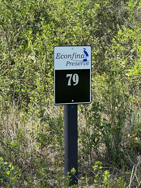 Tract 79 Circle Block Loop, Perry, FL 32348 photo 7