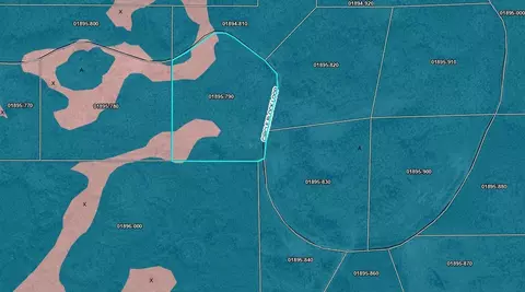 Tract 79 Circle Block Loop, Perry, FL 32348 photo 6