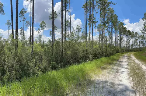 Tract 79 Circle Block Loop, Perry, FL 32348 photo 10