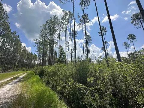 Tract 79 Circle Block Loop, Perry, FL 32348 photo 19