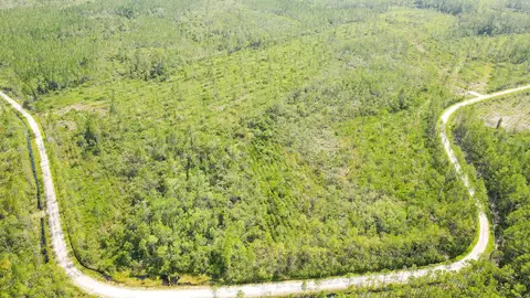 Tract 79 Circle Block Loop, Perry, FL 32348 photo 31