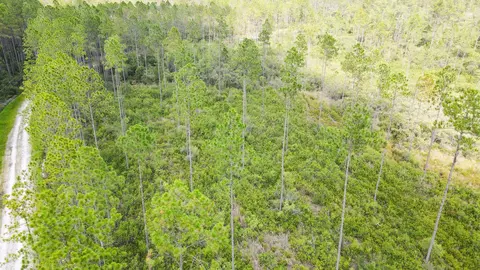 Tract 79 Circle Block Loop, Perry, FL 32348 photo 34