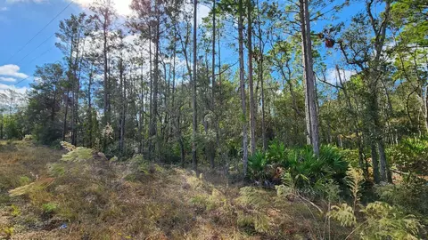 Tbd Antler Lane, Keaton Beach, FL 32348