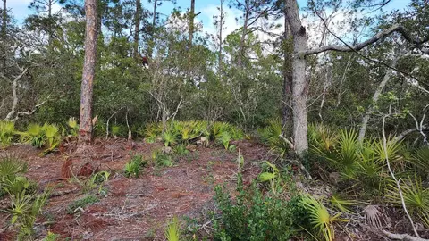 tbd Yates Creek Rd #2, Keaton Beach, FL 32348 photo 6