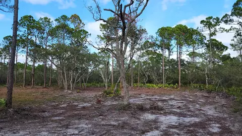 tbd Yates Creek Rd #2, Keaton Beach, FL 32348 photo 7