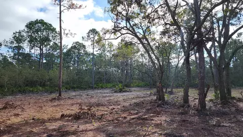tbd Yates Creek Rd #2, Keaton Beach, FL 32348 photo 3