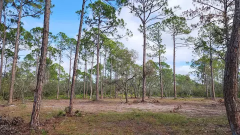 tbd yates creek road, Keaton Beach, FL 32348